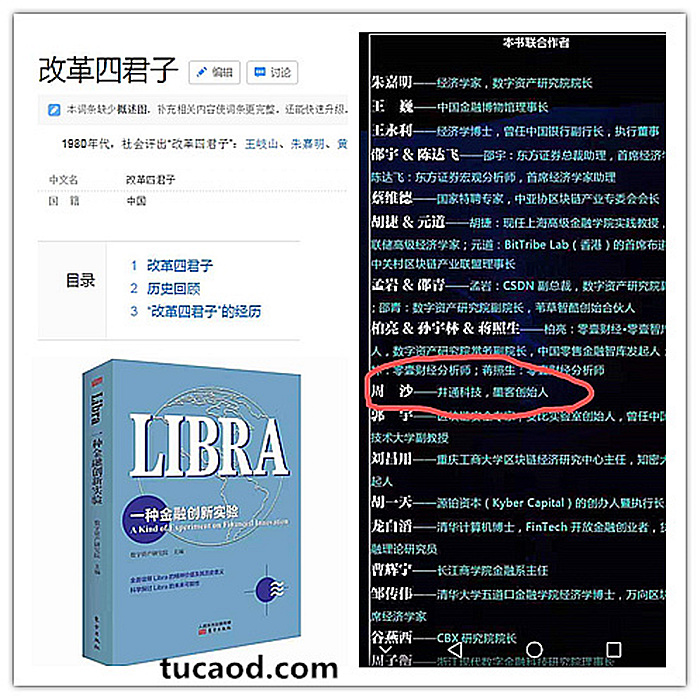 朱嘉明libra一种金融创新试验-井底望天