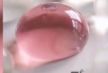 娃哈哈 宗馥莉 股权变化@圆方你怎么看啊-Ai神吐槽