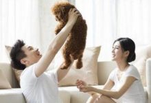 快要结婚的时候与女朋友分手，独自悲伤啊_小叮当故事会-Ai神吐槽