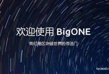 big币_bigone交易所_老猫-Ai神吐槽