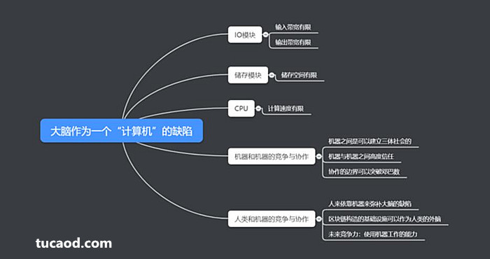 大脑的生理局限性