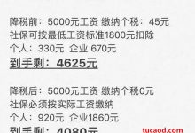 个税社保新规新政策_中国进入临时工社会_日本社保危机警示_劳务派遣人员_订阅号刘备教授-Ai神吐槽