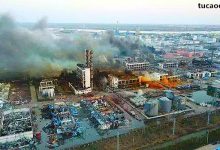 马斯克为什么喜欢狗狗币?Elon Musk 说比特币不环保 碳税 碳排放问题@defi阿飞@TumbleBit四海-2040 会员计划-Ai神吐槽