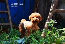 银行金融盈利能力分析《王剑讲银行业:基本逻辑与分析方法》货币银行学@王剑的角度-Ai神吐槽