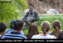 炒币注意事项 币圈亏钱指南@DFarm@爱吃大饼蛋-Ai神吐槽