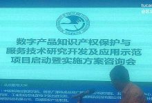 为什么发展数字服务税？数字经济数据货币化与农村土改@井底望天-Ai神吐槽