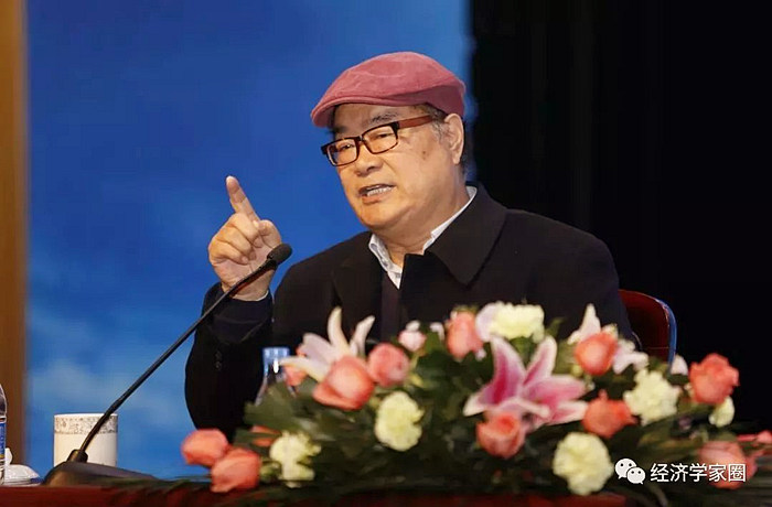 中国经济没进入衰退期是进调整期:负面效应叠加_稳金融新旧动能转换_生态文明改革@魏杰