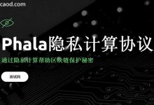 Phala Network 佟林：pLIBRA保密智能合约跨链Polkadot-Ai神吐槽