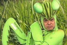 如何评价香川照之？父与子_市川猿翁_歌舞伎演员纪录片-Ai神吐槽