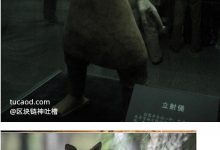 短肩窄肩膀 背才能圆 胸空 气都集中在丹田里 含胸拔背 八卦掌@戊己真人-Ai神吐槽