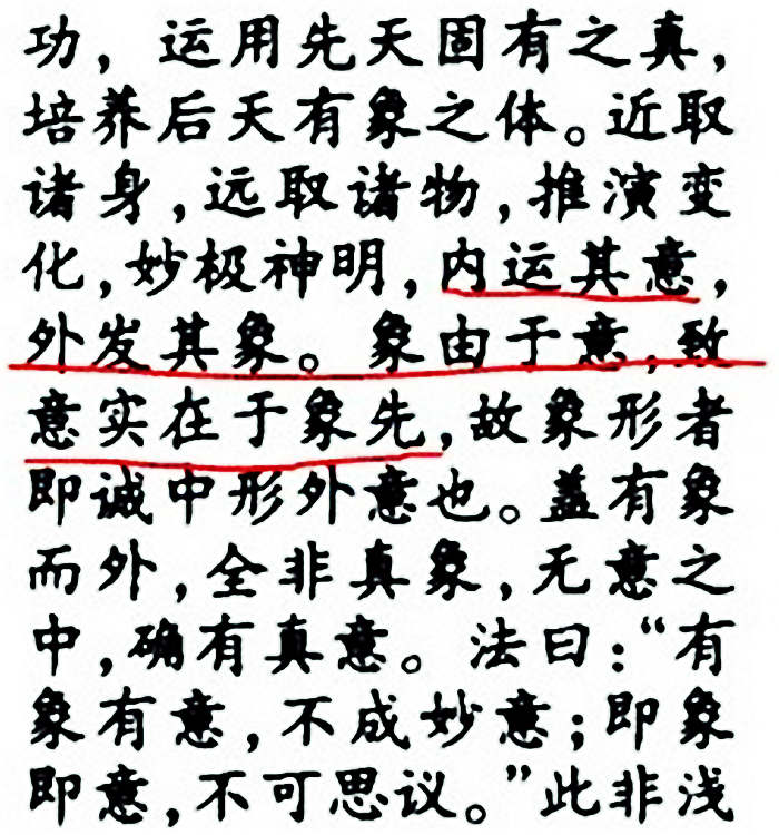 象由于意,致意实在于象先@薛颠象形术@戊己真人