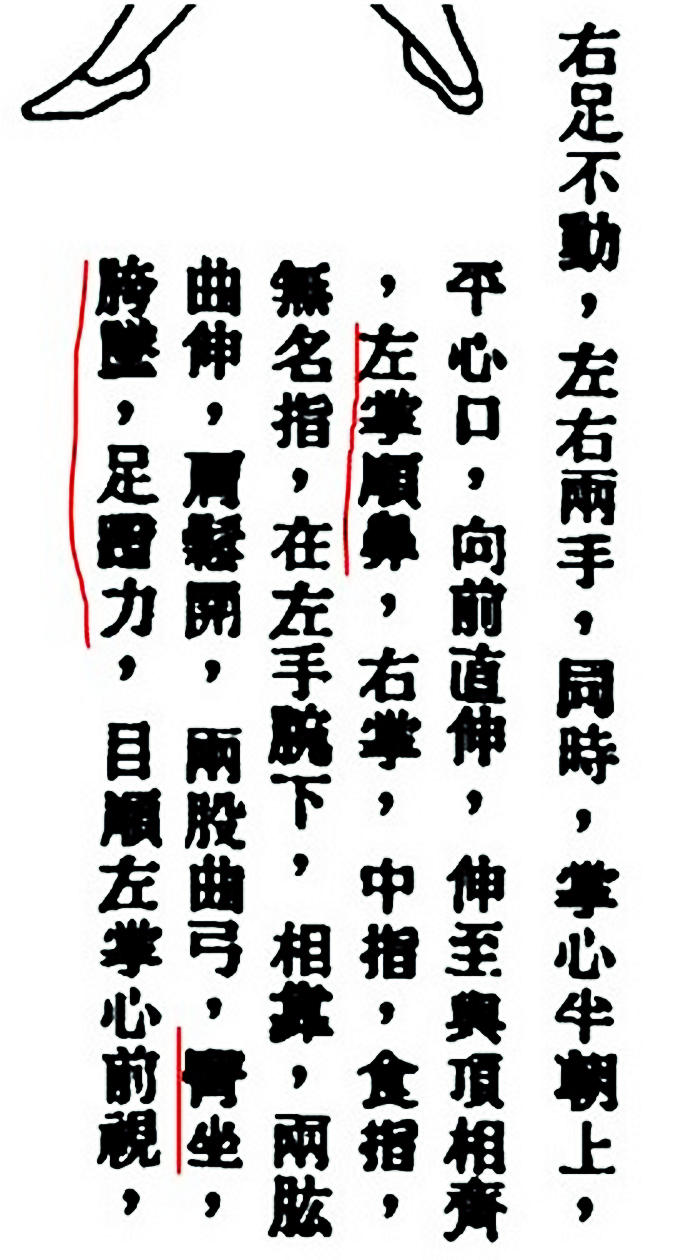臀坐、胯坠、足蹬力,就是大象的后面一沉那一下,像个大杠杆,把大鼻子甩出去了@薛颠@戊己真人