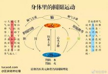 中医黄元御的圆圈理论-精气神@尘悟中-Ai神吐槽