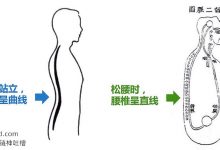 拉伸脊柱的好处:为什么要经常拉伸脊柱 叫醒 @戊己真人-Ai神吐槽