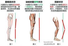 锻炼健身避免死肌肉-健身出来是畸形身材@hasmart-Ai神吐槽