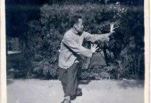 八卦掌转圈要点:圆中化直,直中化圆-西游记龙马@戊己真人-Ai神吐槽