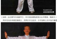 内家拳学习第一步:通络或抻筋@张烈老师讲武术-Ai神吐槽