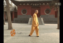 林黛玉教香菱作诗-武学奥秘心意把-红楼梦-唐诗@戊己真人-Ai神吐槽
