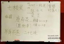 中医偏方秘方治病救人:张至顺道长的三个绝方《济世良方》《医林改错》-Ai神吐槽
