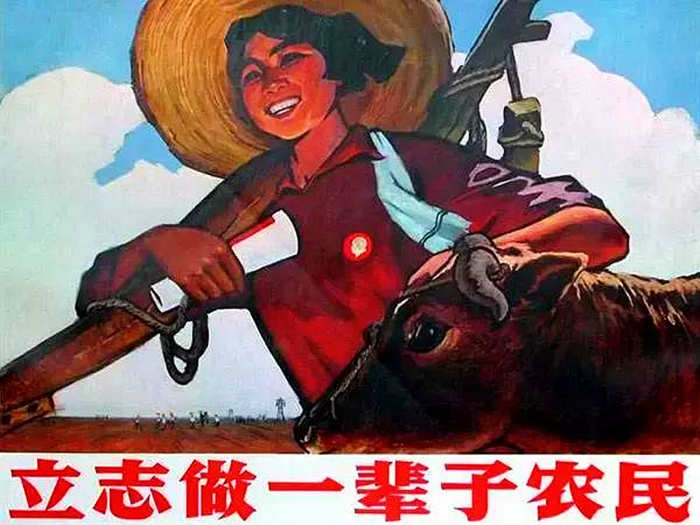 红色-立志做一辈子农民