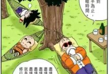 中国人独特的人生观是如何形成的?中西方文化差异@王德峰-Ai神吐槽