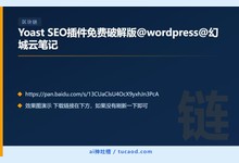 Yoast SEO插件免费破解版@wordpress@幻城云笔记-Ai神吐槽