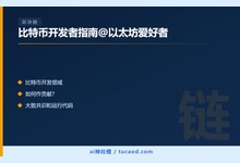比特币开发者指南@以太坊爱好者-Ai神吐槽
