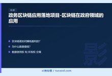 政务区块链应用落地项目-区块链在政府领域的应用-Ai神吐槽
