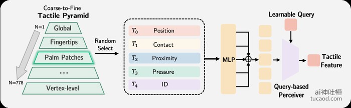 通用触觉编码器：粗到细的触觉金字塔 + MLP + Query-based Perceiver 输出触觉特征