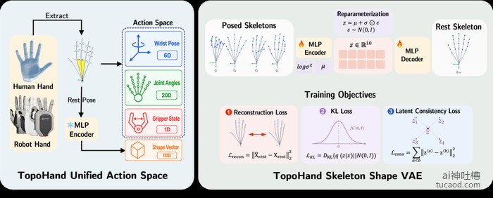 TopoHand 统一动作空间：手腕位姿+关节角+夹爪状态+形状向量，Skeleton Shape VAE